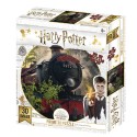 Puzzle 3D Harry Potter Hogwarts & Hedwig 500 piezas